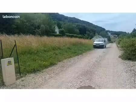 jolie terrain