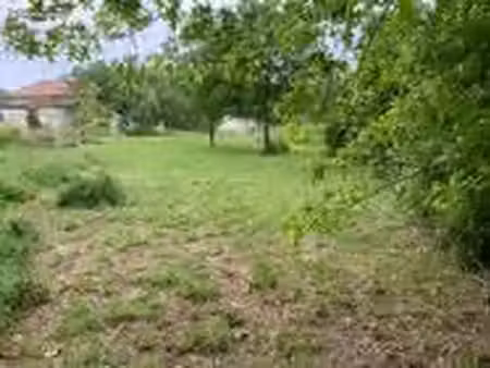 terrain 1002m2
