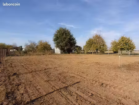 terrain constructible