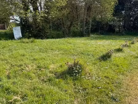 terrain constructible à vendre