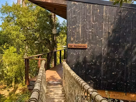 seignosse – maison bois perchée dans les arbres – 900 /mois charges comprises