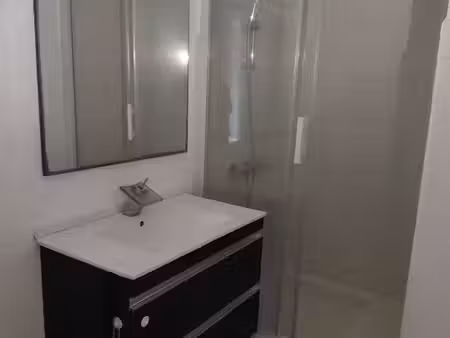 vends appartement à saint-chamond