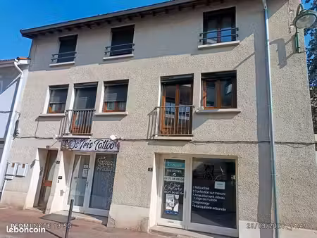 immeuble montrond les bains