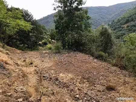terrain constructible à vendre à vialas – 6 980 m² dont 2 040 m² en zone ubnc