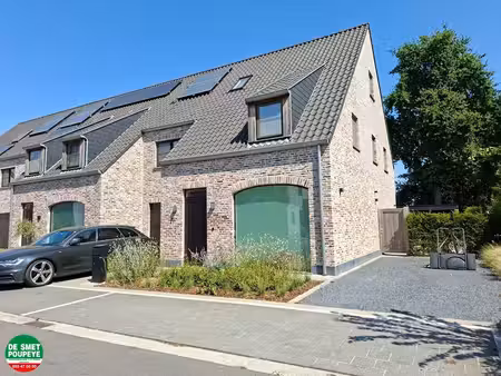 maison à louer à maurits van coppenollestraat 21 sint-andries (rbw75866)