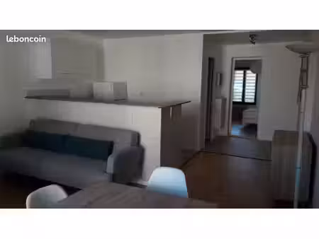 f2 44 42 m2 - meublé - centre ville  rive droite - libre de toute occupations