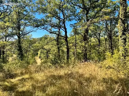 terrain 2 400 m² esclauzels