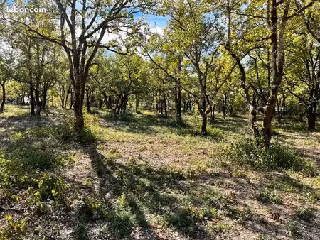 terrain 1 327 m² lalbenque