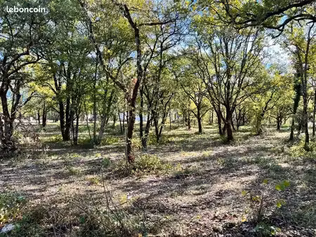 terrain 1 069 m² lalbenque