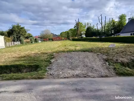 terrain constructible