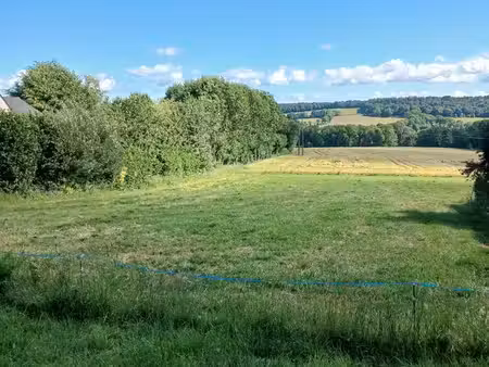 terrain constructible