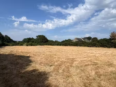terrain de loisir au tour du parc