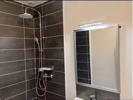 appartement t2 ruy montceau