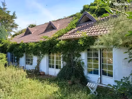 maison+jardin+piscine