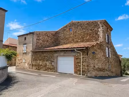 maison avec gîte indépendant et exterieur - vertaizon