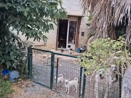 maison de campagne