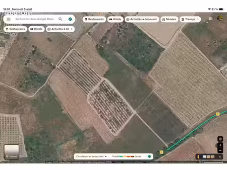 terrain agricole verger abricotiers