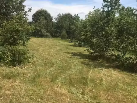 terrain agricole - 4 hectares constructible pour agriculteur