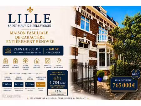 lille [saint- maurice- pellevoisin] maison familiale de caractere entierement rénovée - pl