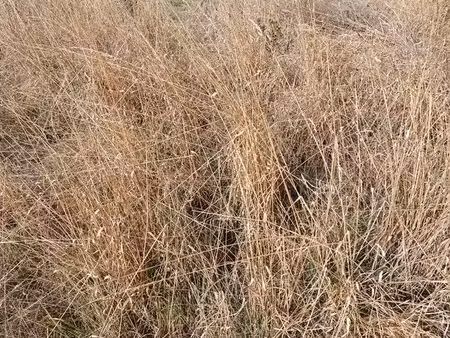 recherche terrain à louer avec eau électricité à l'année