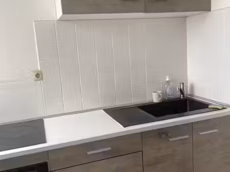 studio lumineux 33m2 au pied du métro fort de mons