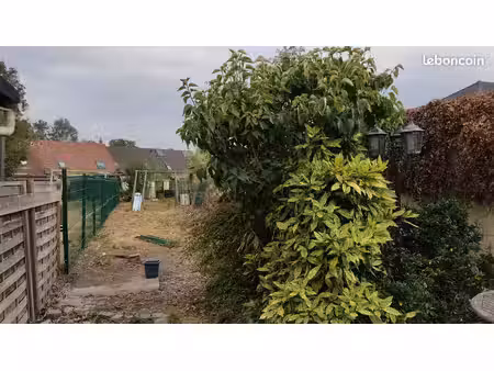 maison à louer ronchin 4 chambres avec jardin