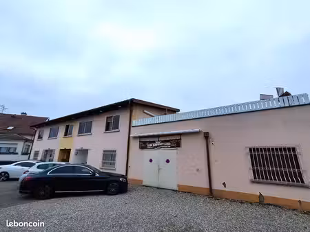 immeuble 220 m² kingersheim