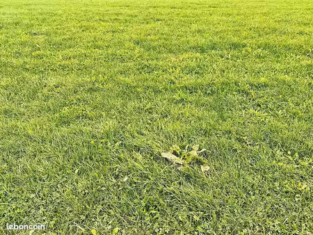 recherche partenaire - terrain 8000m2 - +30 logements - oap - messery 74140