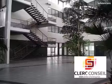 bureaux 260 m² isneauville