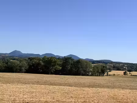 terrain