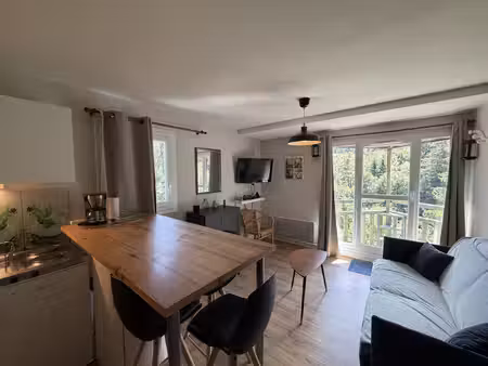 appartement entièrement rénové à 200 m des pistes de sk