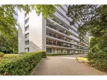 lichtrijk appartement met ruim terras te koop in berchem