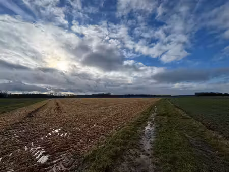 terrain agricole