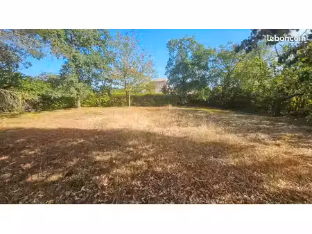 terrain plat 500 m2 péchabou