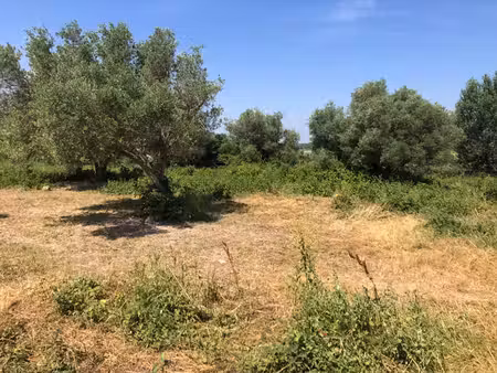 terrain agricole saint hilaire d ozilhan 6640 m2 72000