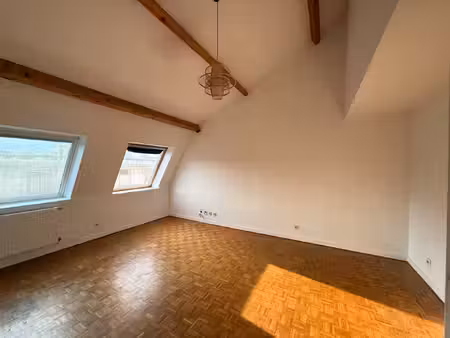 appartement duplex t6 lyon 3