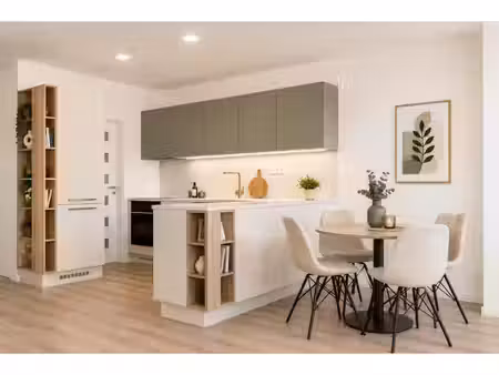 appartement t4 de 86m² à île-saint-denis