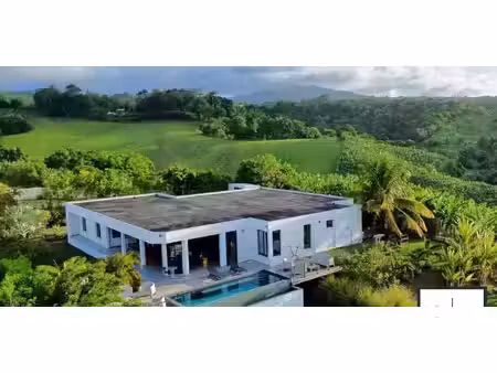 maison avec piscine et terrasse le marigot (972)