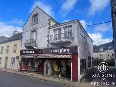 vente immeuble à bannalec (29380) : à vendre / 275m² bannalec