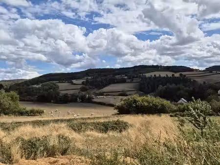 maison ancienne en pierre rénovée + terrain constructible — ouroux-en-morvan (58)  parc du