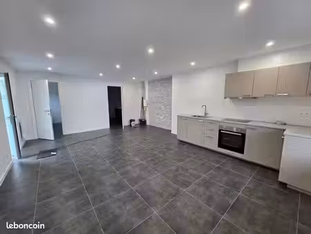 appartement 1 ch 55m2 style loft entierement rénové parking privé