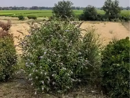 loue terrain agricole 5000m2