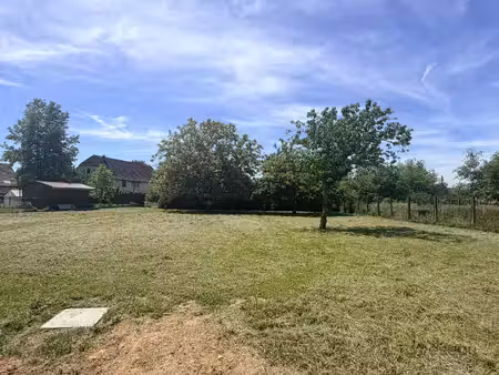 terrain