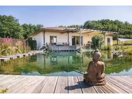 maison contemporaine écologique avec piscine naturelle au cœur de la nature