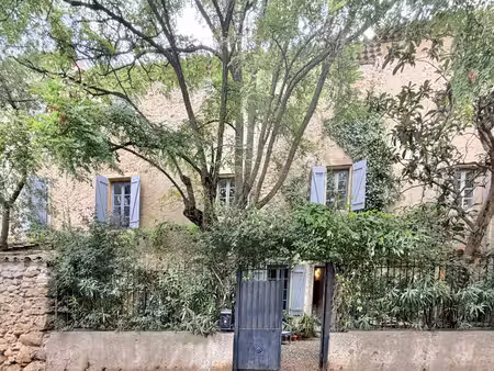authentique maison en pierre divisée en trois maisons d'amis indépendantes au cœur du vign