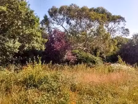 vente terrain à locmaria-plouzané (29280) : à vendre / locmaria-plouzané