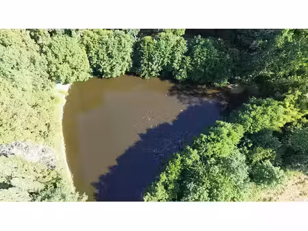 vente etang  le poiré