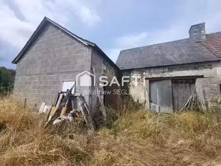 vente immeuble 0 pièces 70 m² à cinq-mars-la-pile (37130)  76 000 €