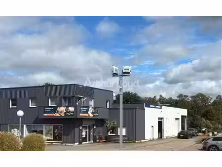 vente local d’activités wissembourg 67160 723m²