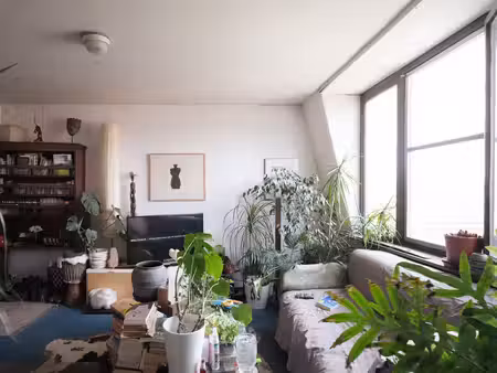 lichtrijk duplexappartement met 2 slaapkamers nabij het rozebroekenpark
